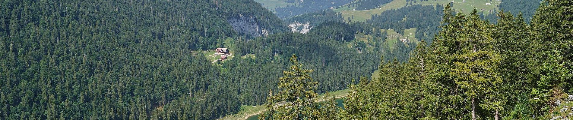 Tocht Te voet Rüte - Brülisau-Bollenwees - Photo