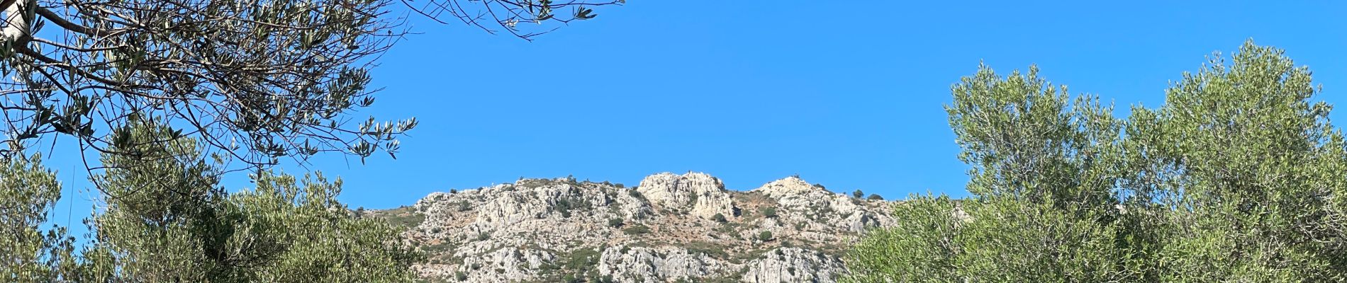 Tour Wandern Torroella de Montgrí - Castel de mont gris variante - Photo