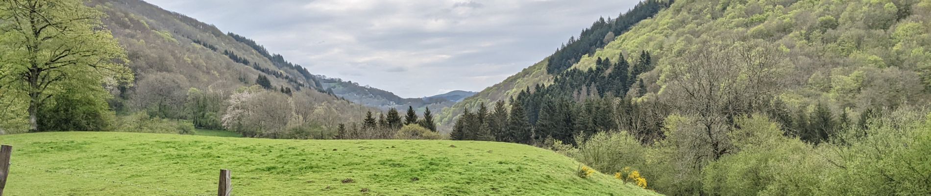 Randonnée Marche Condat - condat  boucle de 11 km - Photo