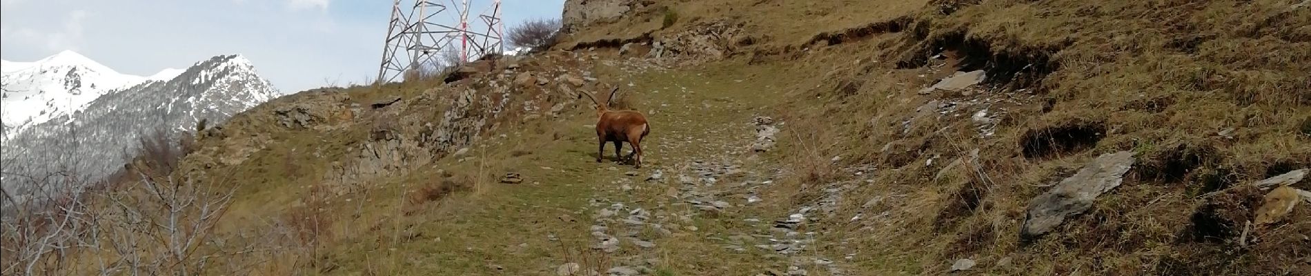 Trail Walking Saint-Jean-de-Maurienne - longefan / l'echaillon / longefan - Photo