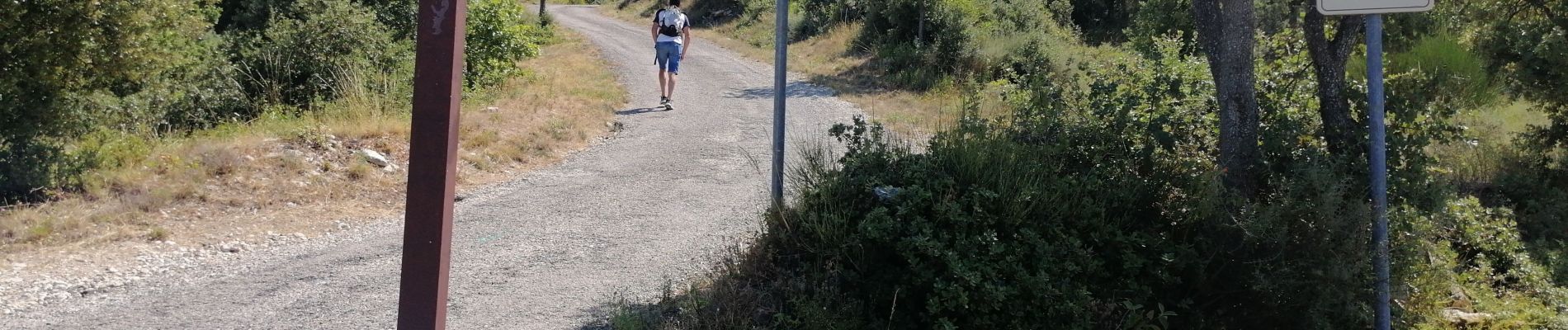 Tocht Stappen Venasque - Le Beaucet - Photo