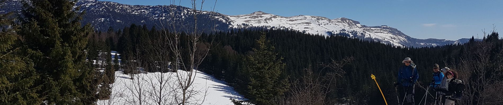 Tocht Sneeuwschoenen Bellecombe - De La Guienette vers Le Crêt du Merle - Photo