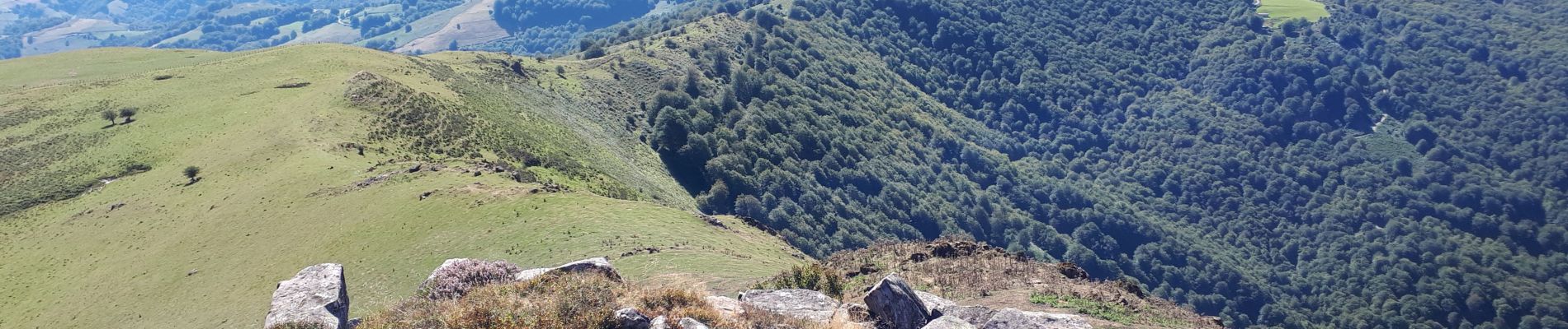 Tour Wandern Aldudes - les Aldudes sentier des crêtes  - Photo