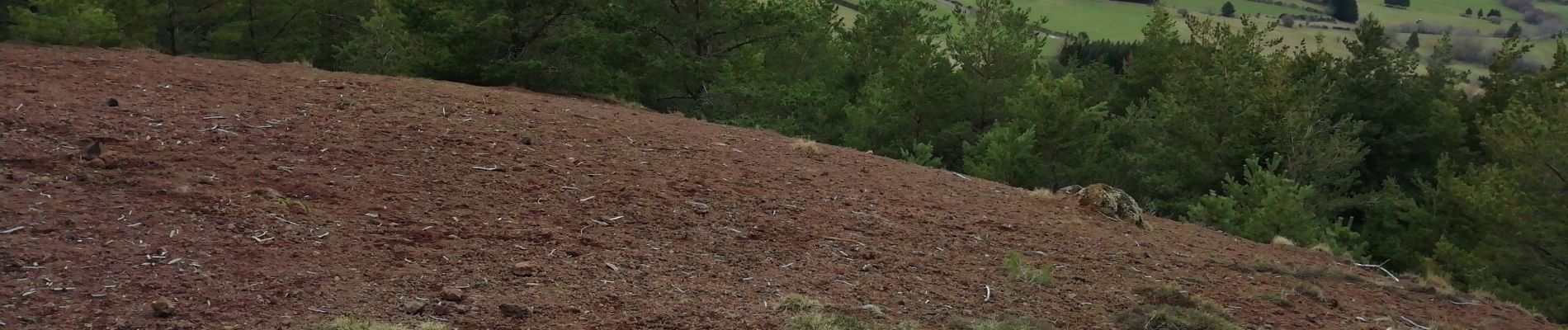 Trail Walking Saulzet-le-Froid - Puy de Montenard - Photo