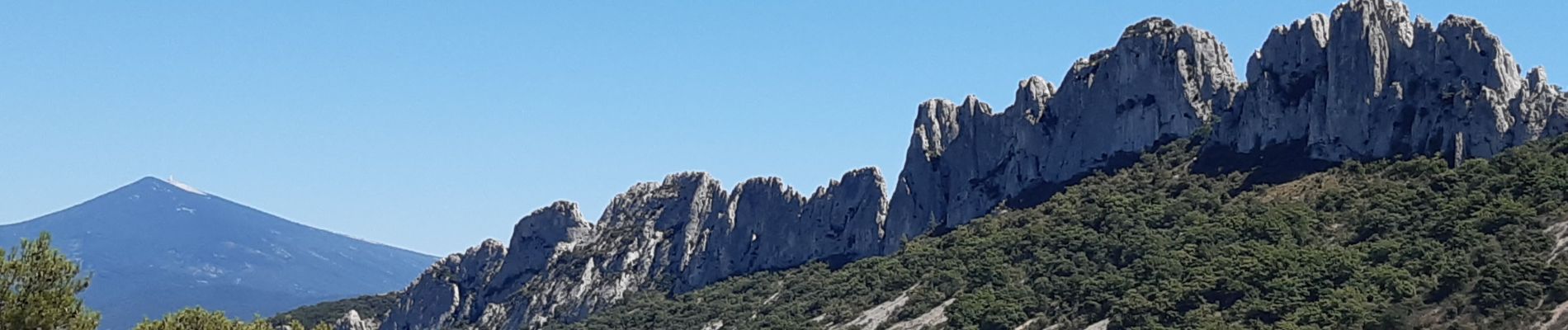 Tocht Stappen Gigondas - Gigondas Le Grand Montmirail - Photo