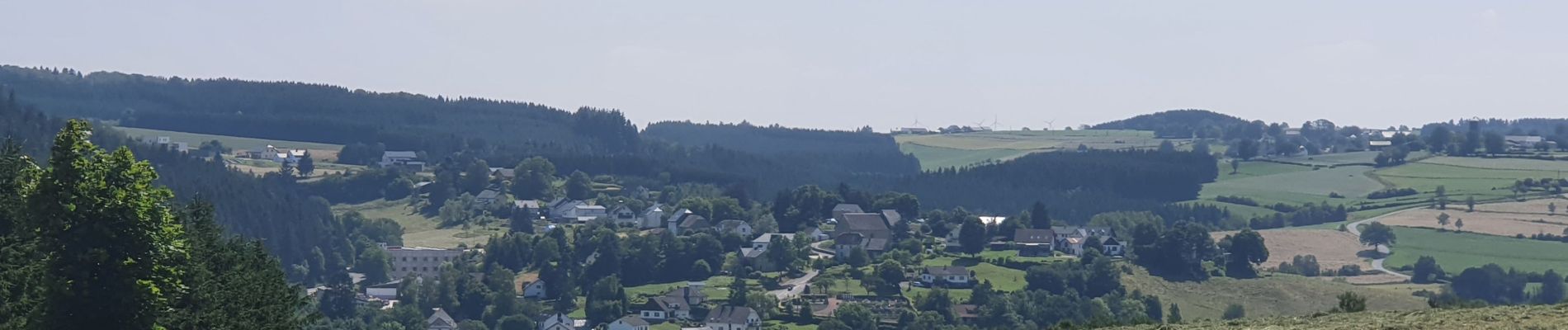 Tour Wandern Sankt Vith - rando schoenberg 20/07/2021 - Photo