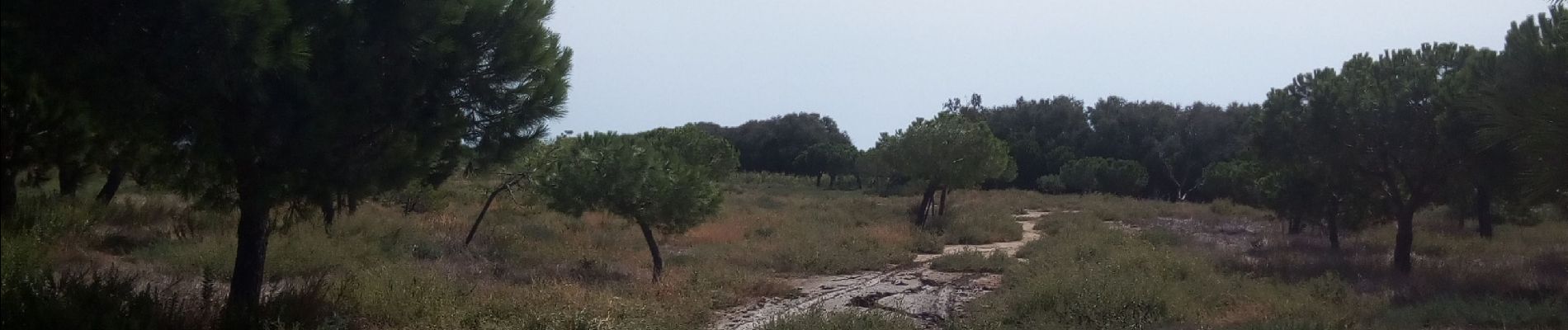 Percorso Marcia Torreilles - Les Dunes Juhègues - Photo