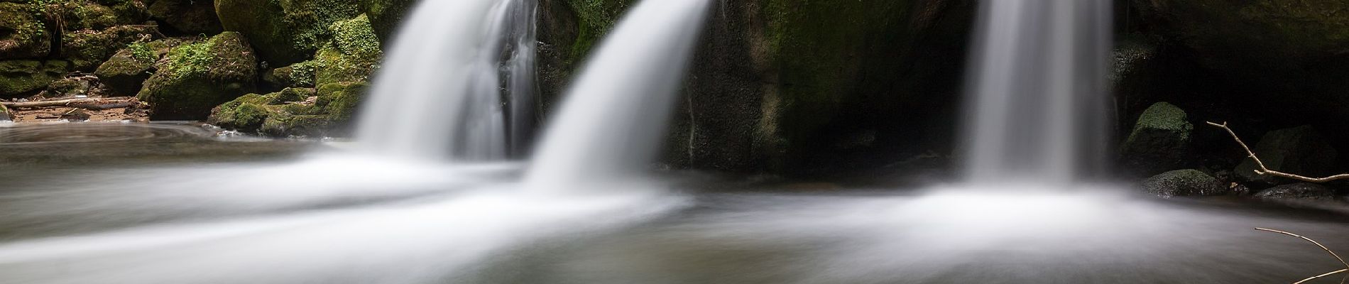 Tocht Te voet Waldbillig - W8 Hiking Tour - Photo