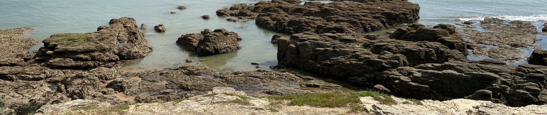 Tour Wandern Préfailles - Boucle en pointe de Saint Gildas - Photo