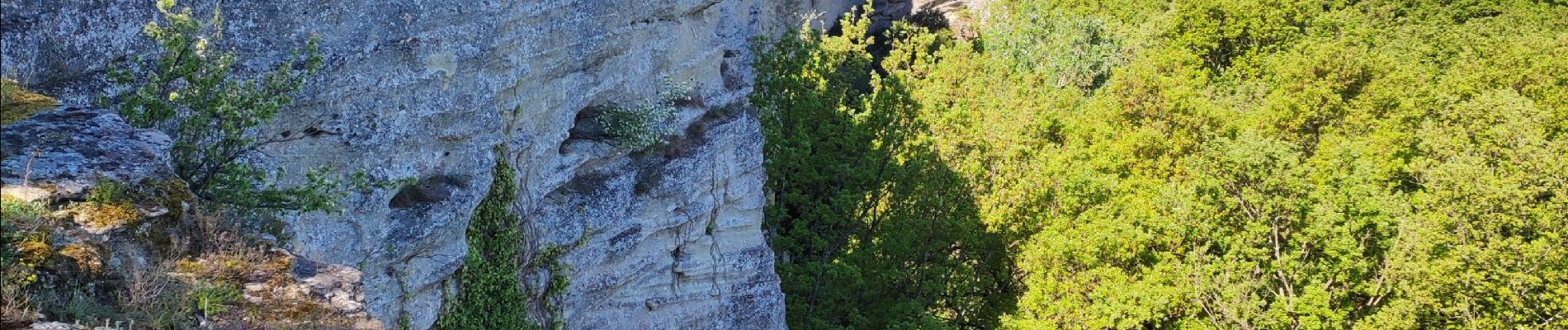 Randonnée Marche Chantemerle-lès-Grignan - Chantemerle Grignan - Photo