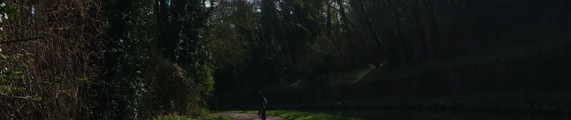 Excursión Bicicleta híbrida Varreddes - Canal de l'Ourcq : Varredes-Lizy sur Ourcq en AR - Photo