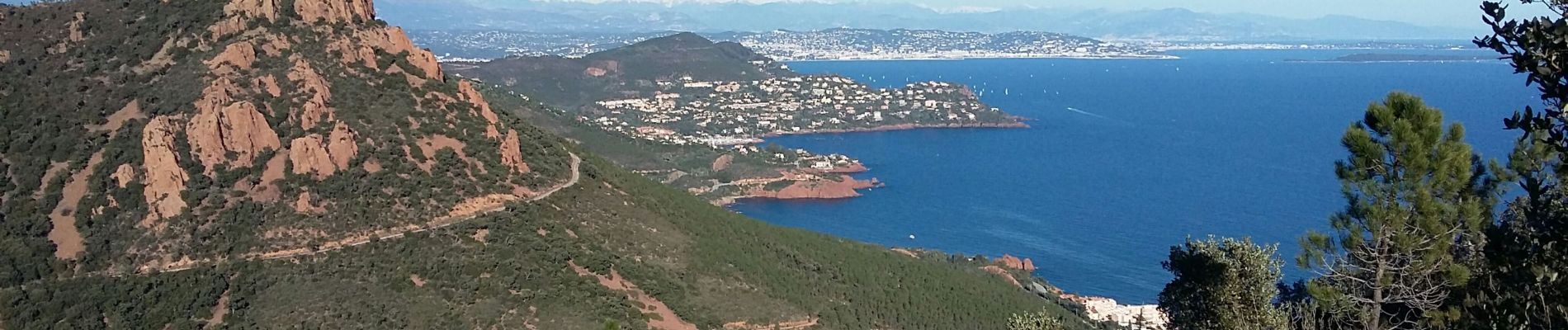 Randonnée Marche Saint-Raphaël - cap roux - Photo