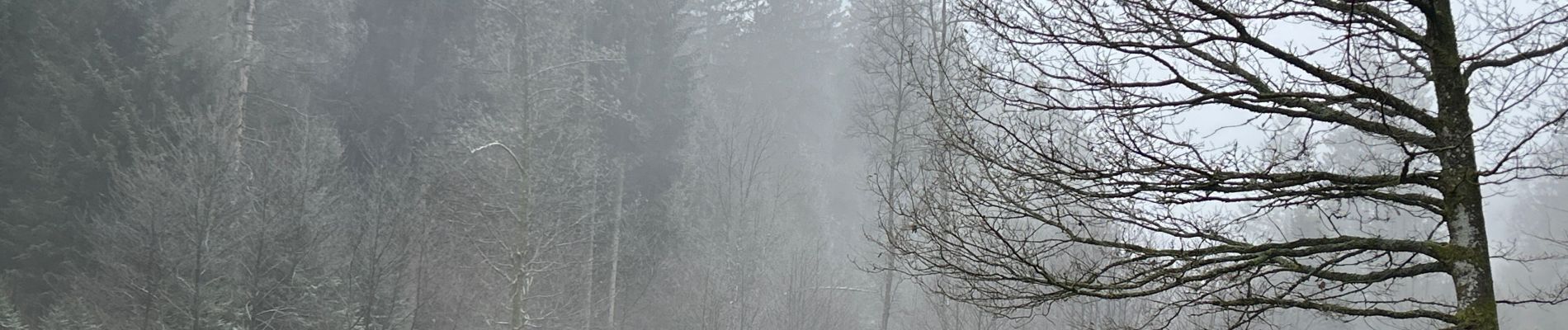 Tour Wandern Martelingen - Heinstert - Photo