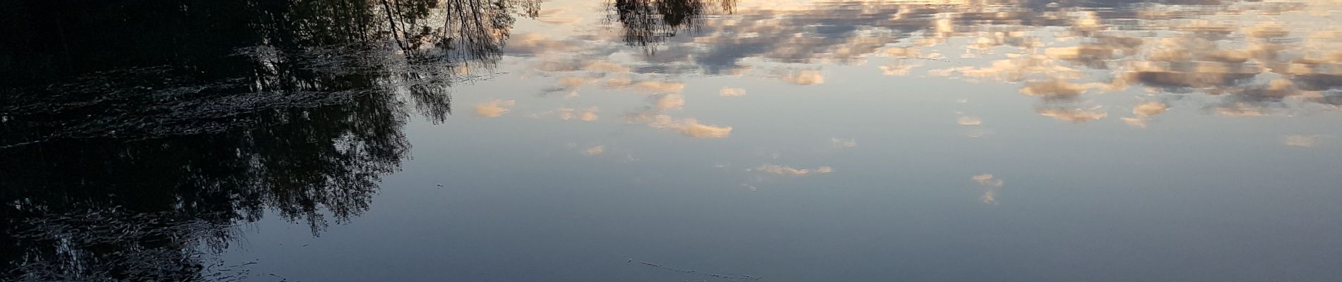 Tour Wandern Vaulx-en-Velin - Miribel  le 20 nov 2019 - Photo