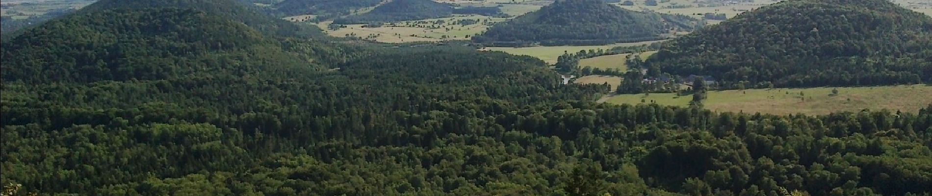 Percorso A piedi Aydat - Le Puy de Vichatel - Photo