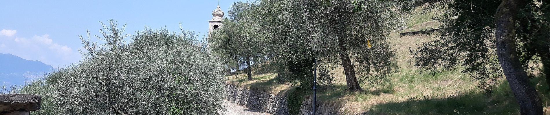 Excursión A pie Torri del Benaco - Percorso del Pellegrino - Photo