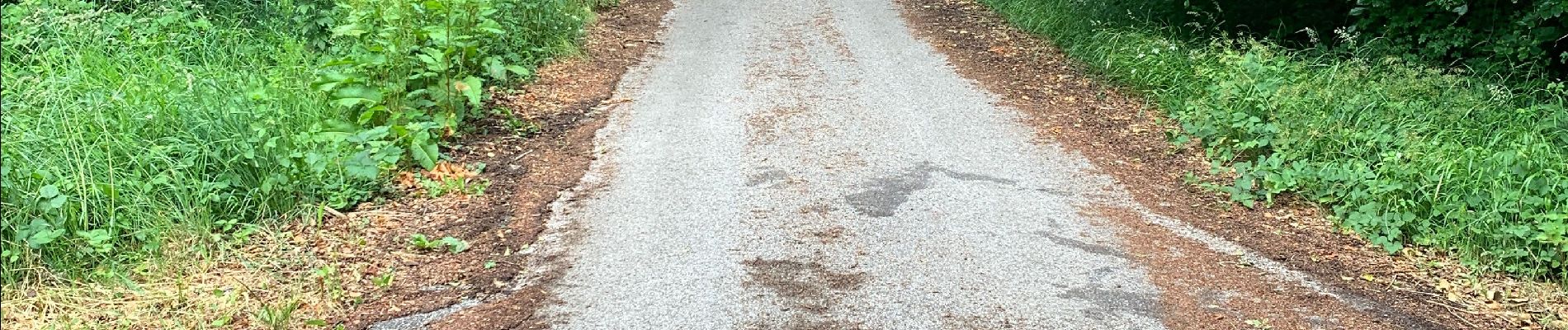 Percorso Marcia Huby-Saint-Leu - Balade dans la forêt d’Hesdin 1 - Photo