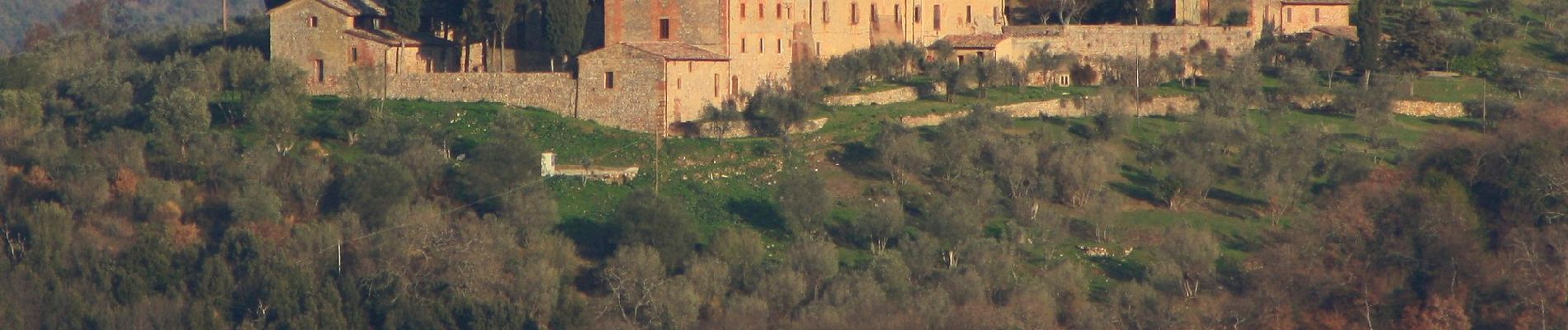 Randonnée A pied Pienza - Sodoma - Photo