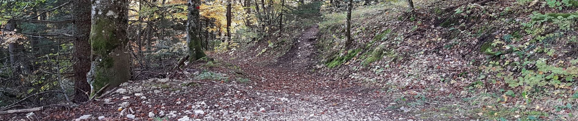 Tour Wandern Engins - boucle Molière par le pas de la Loze - Photo