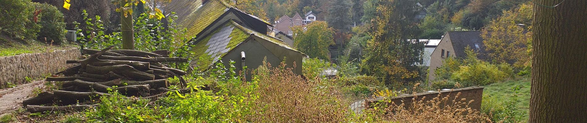 Tocht Stappen Namen - Jambes citadelle la Plante - Photo