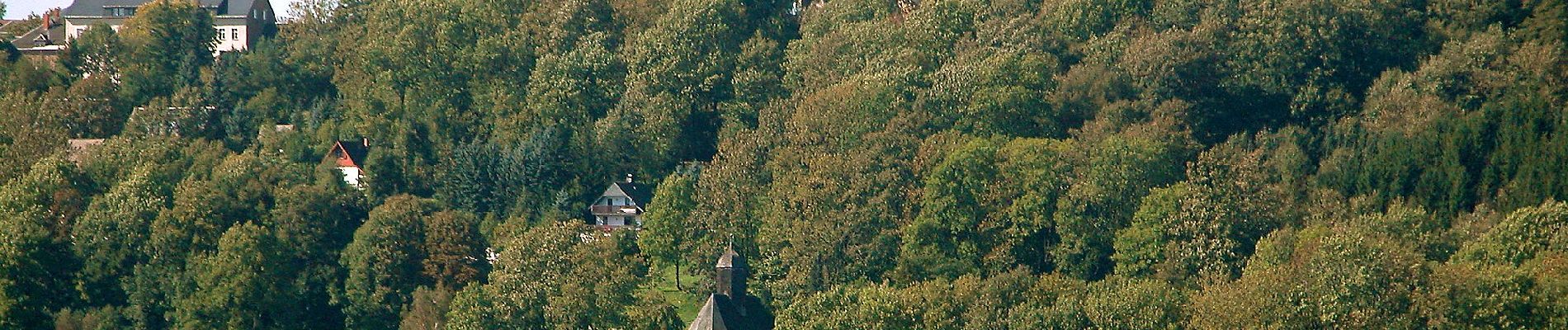 Tocht Te voet Frauenstein - Blauer Balken - Photo