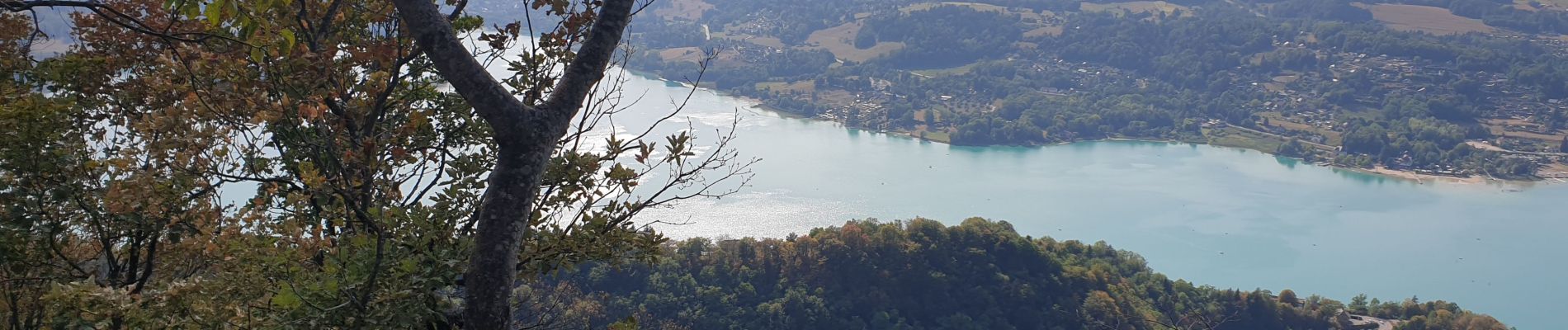 Trail Walking Aiguebelette-le-Lac - aiguebelette, col du crucifix - Photo