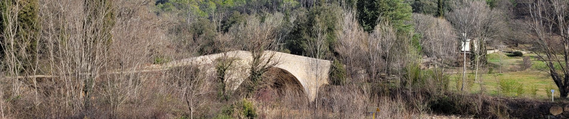 Tocht Stappen Lorgues - Longues circuit des chapelles - Photo