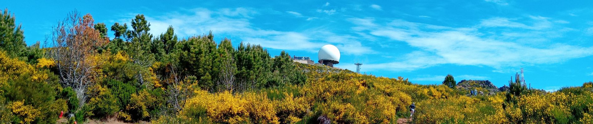 Tour Wandern Monte - reco madeira - Photo