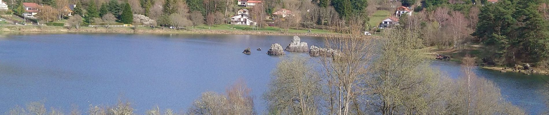 Tour Wandern Aydat - lac de la cassiere  - Photo