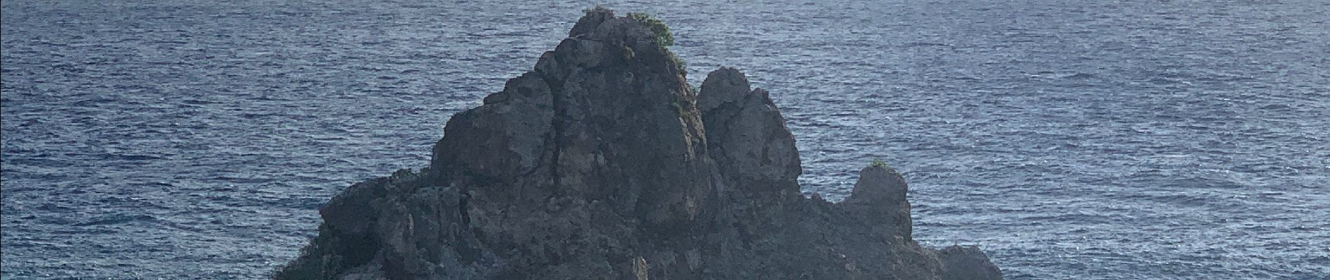 Randonnée Course à pied Saint-François - Anse  la gourde - Photo