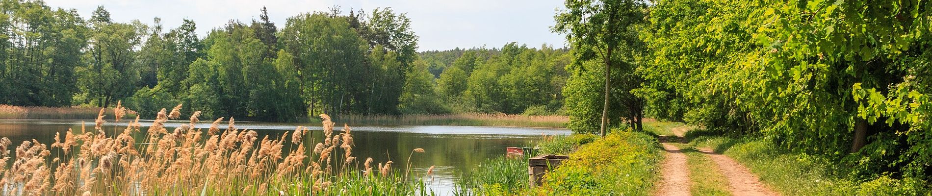 Tour Zu Fuß Chwaletitz - [Ž] Chvaletice - Zdechovice - Photo