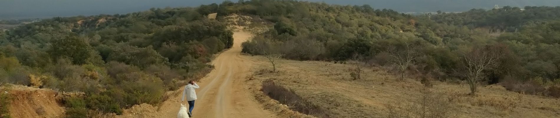 Excursión Senderismo Le Boulou - La bataille du Boulou - Photo