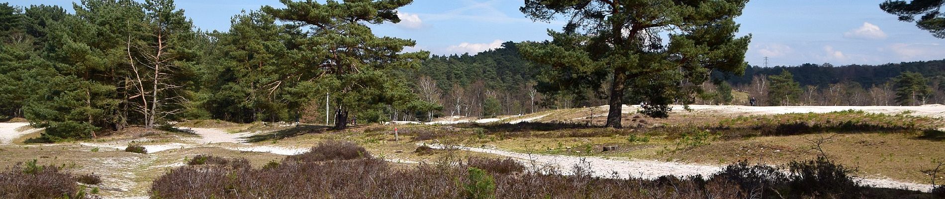 Tocht Te voet Heerlen - Brunssummer Heide Lichtblauwe route - Photo