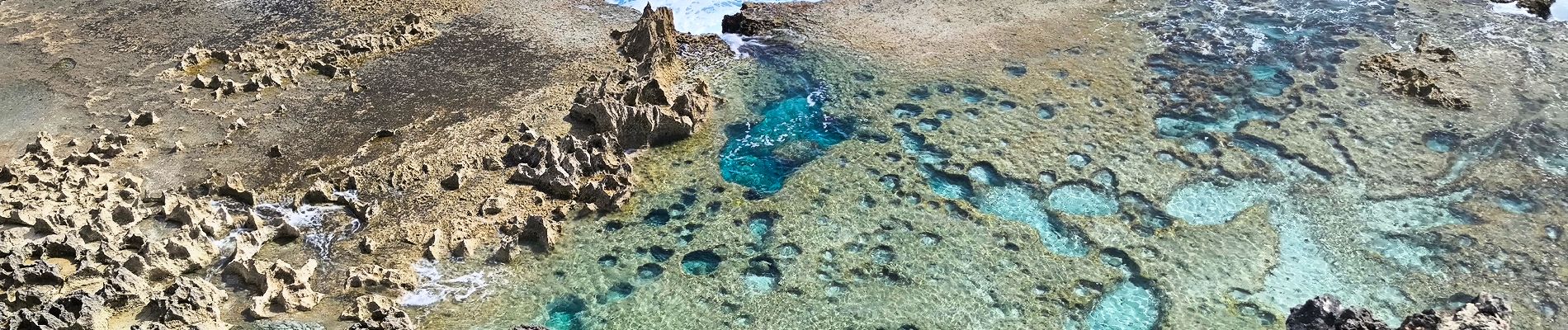 Point d'intérêt Anse-Bertrand - Pointe à Tortue - Photo