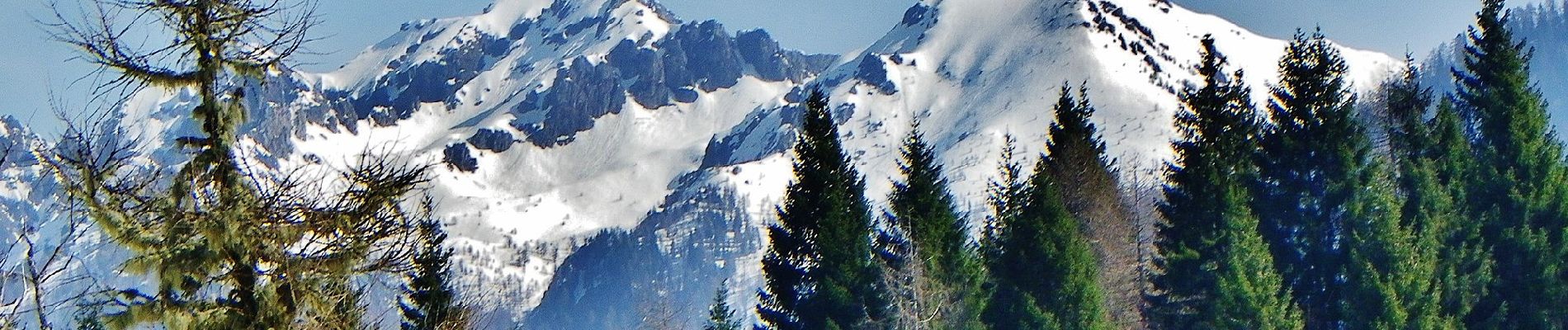 Percorso A piedi Scurelle - (SI C13S) Rifugio Malga Conseria - Forccella Magna - Passo dei Pastori - Rifugio Brentari alla Cima d'Asta - Forcella di Val Regana - Caoria - Photo