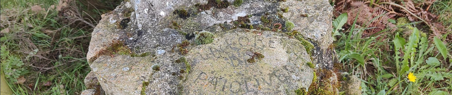 Excursión Senderismo Saint-Hilaire-Cusson-la-Valmitte - Saint Hilaire -Cusson la Valmitte  - Photo