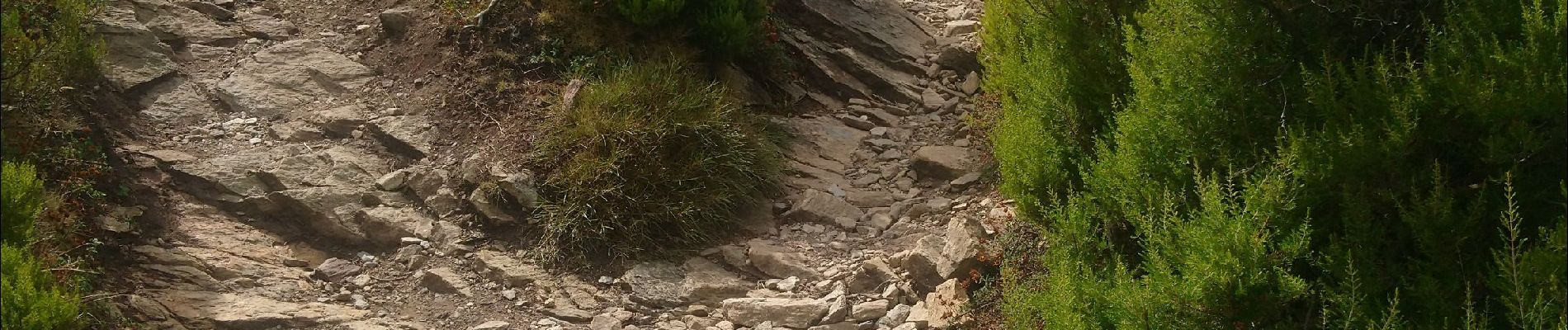 Randonnée Marche Bastia - chemin des crêtes au dessus de Bastia  - Photo