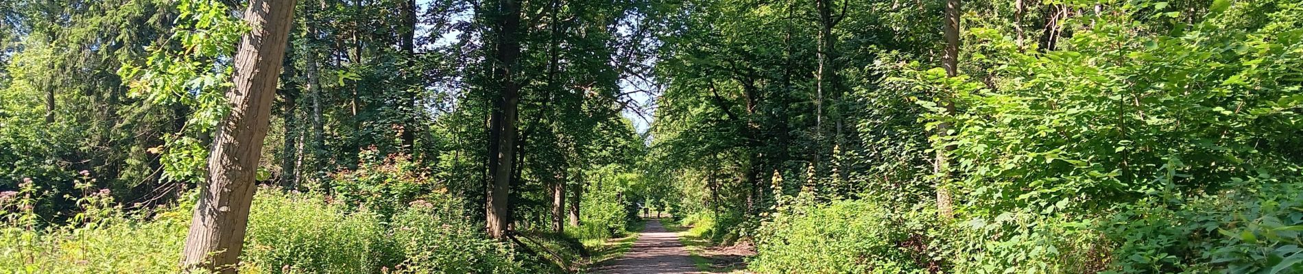 Trail Walking Esneux - beauregard . roche aux faucons . nomont  - Photo