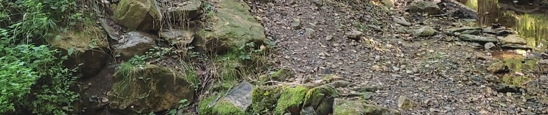 Randonnée Marche Florac Trois Rivières - Les Cévennes sentiers sympas  - Photo