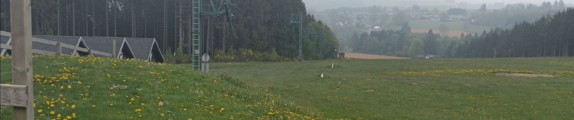 Tocht Stappen Vielsalm - Adeps La Baraque Fraiture - Photo