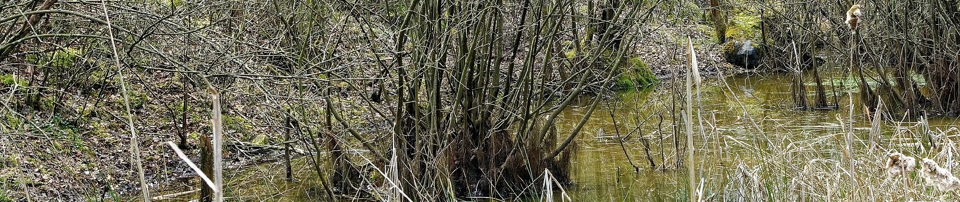 Tocht Te voet Hamoir - Promenade de Fairon - Photo