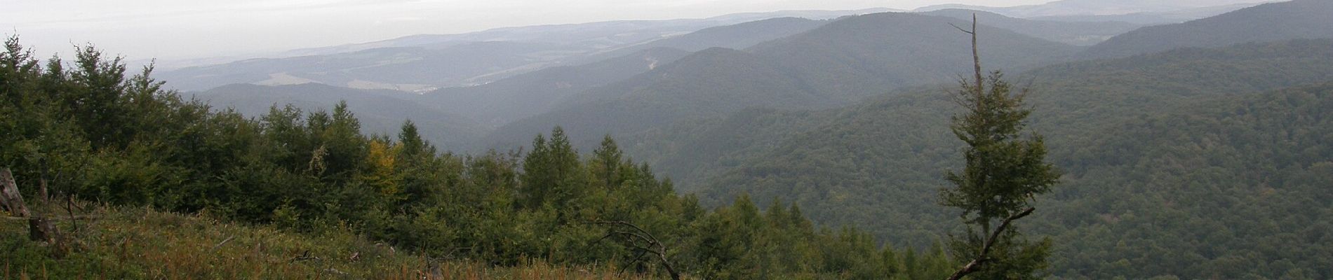 Excursión A pie okres Myjava - Brezová - Košariská - Photo