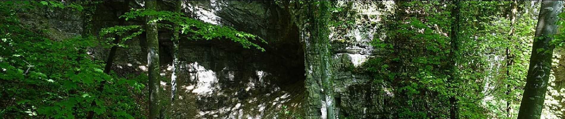 Excursión A pie Unknown - Mitsko-povijesna staza “Trebišća – Perun” - Photo