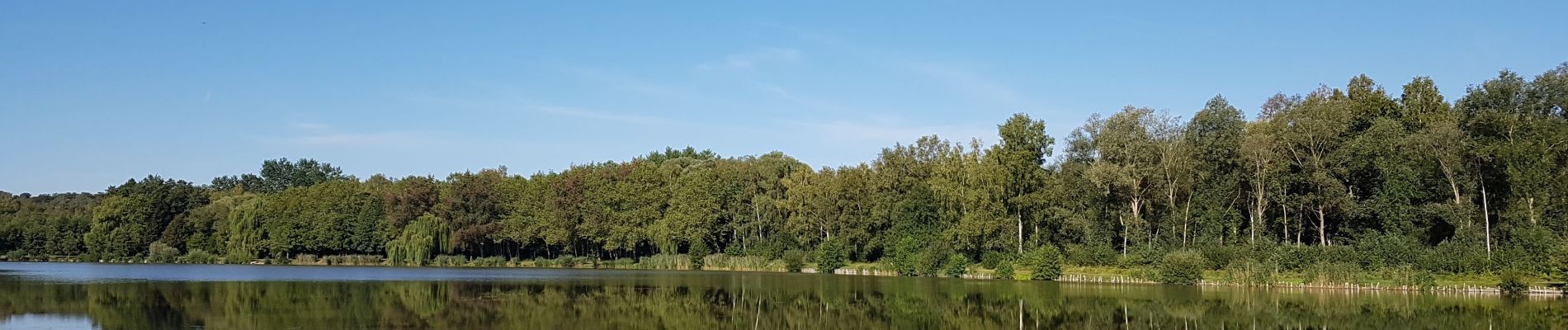 Tocht Mountainbike Fère-en-Tardenois - Bois de Saponay du 08/09/2020 - Photo