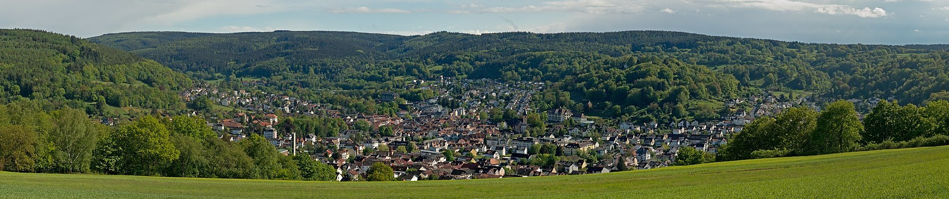 Tour Zu Fuß Bad Soden-Salmünster - Bad Orb Rundwanderweg 1 Orbtalblick - Photo