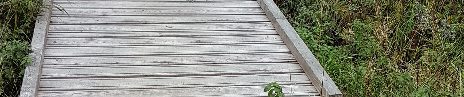 Randonnée Marche Moulinet - Bois Noir au départ de Cabanes Vieilles - Photo