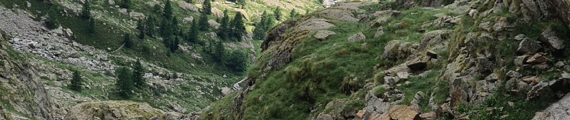 Tocht Stappen Belvédère - lac de la fous - Photo