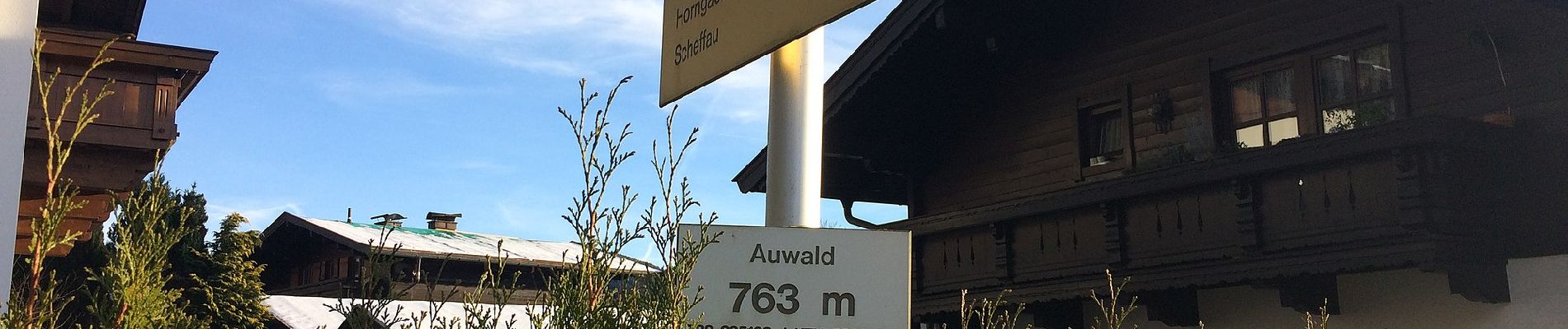 Tour Zu Fuß Gemeinde Scheffau am Wilden Kaiser - Auwaldrunde - Photo