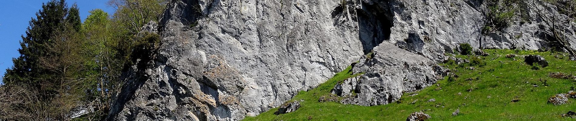 Percorso A piedi Sconosciuto - Belecke - Nuttlarer Höhe - Photo