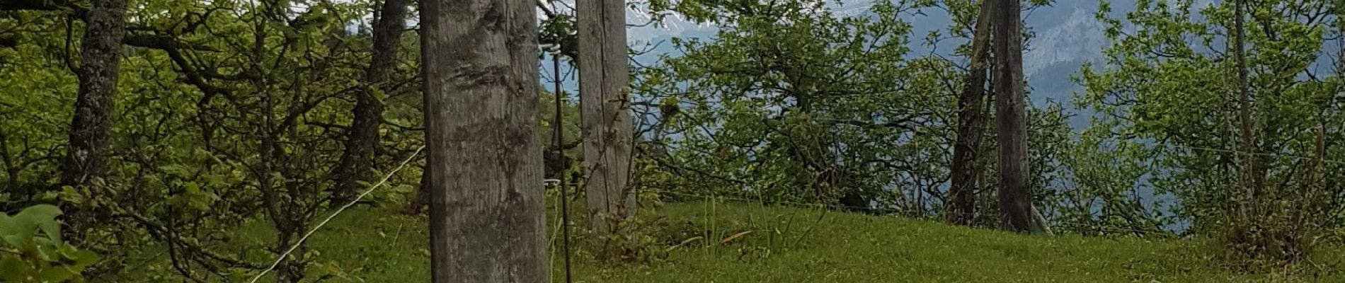 Randonnée Marche Bonneville - Tour du Reyret - Photo